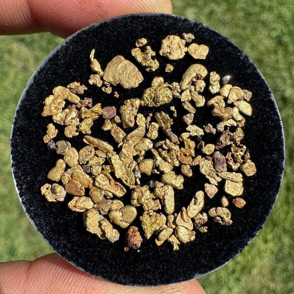 Gold Nuggets from California - 4.36 grams - Picture 1 of 6